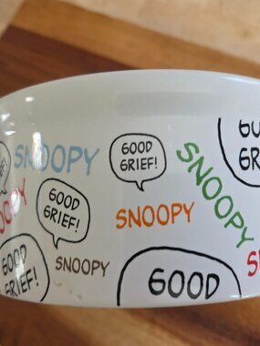 SNOOPY PEANUT DOG DISH OR WATER BOWL GREAT SHAPE SLIGHTLEY USED